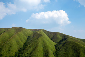 高山草甸风景武功山