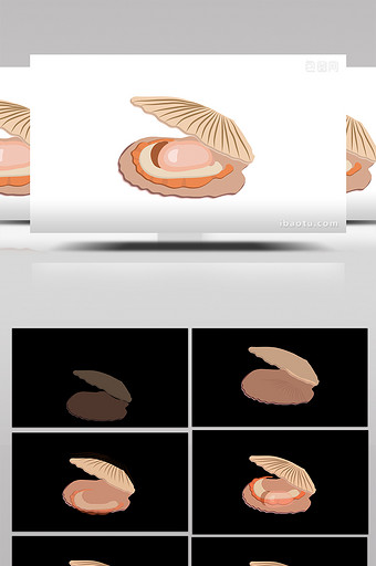 简约扁平画风食物类海鲜扇贝mg动画图片