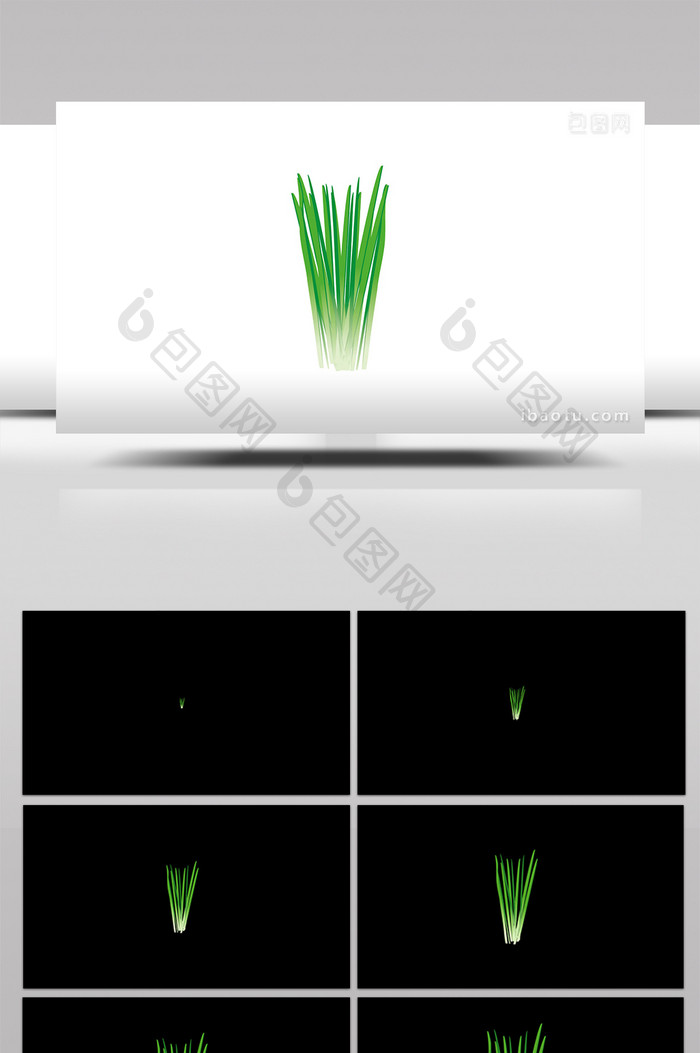 简单扁平画风食品类蔬菜韭菜mg动画