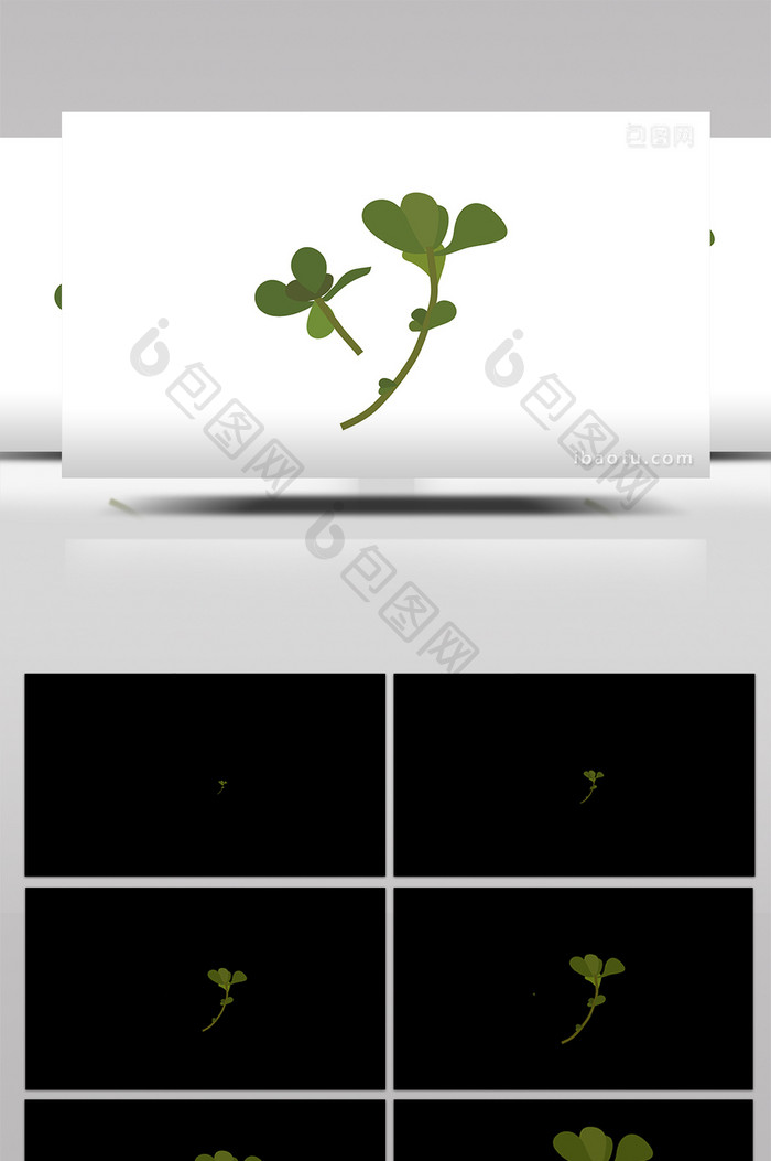 简单扁平画风食品类马齿苋mg动画