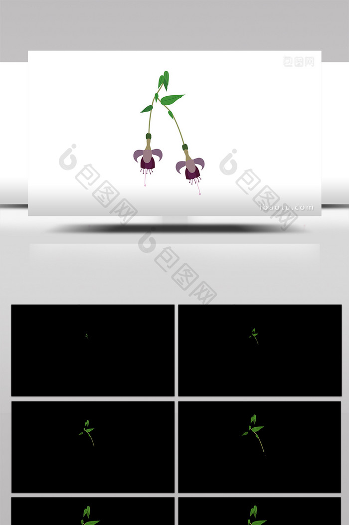 简单扁平画风植物类金钟花mg动画