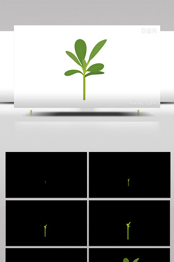 简单扁平画风植物类小树苗mg动画图片