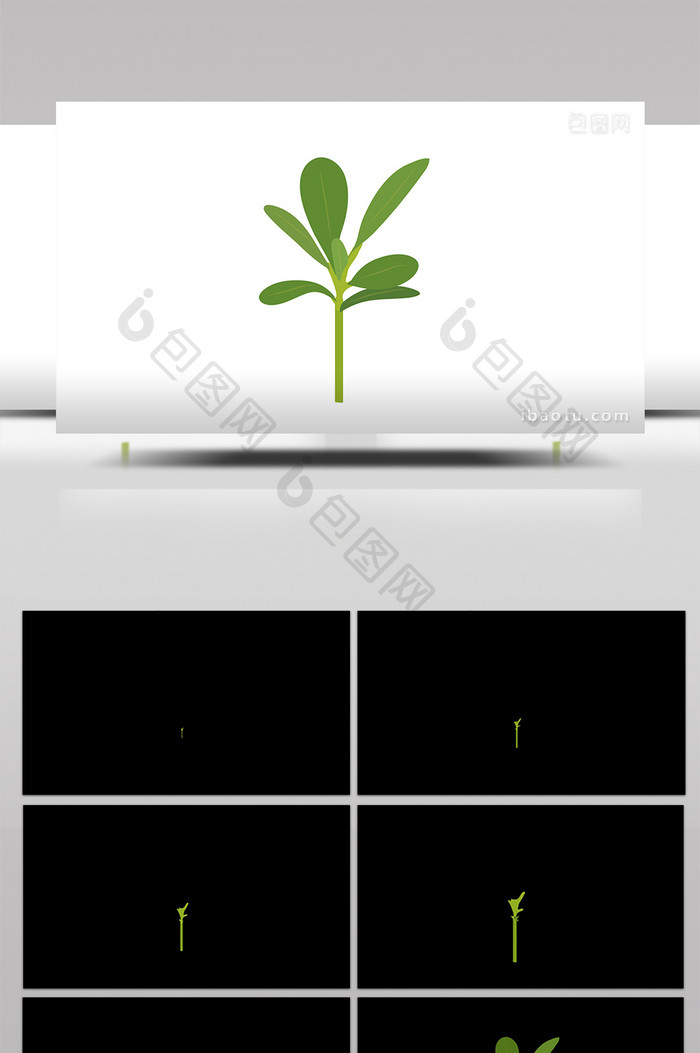 简单扁平画风植物类小树苗mg动画