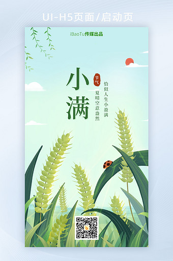 小满时节小麦祝福问候海报界面H5图片