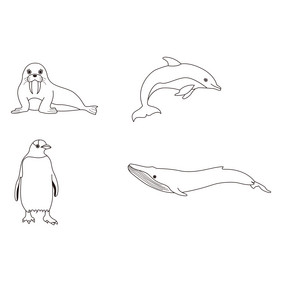 线描动物海狮海豚企鹅