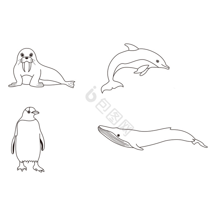 线描动物海狮海豚企鹅图片