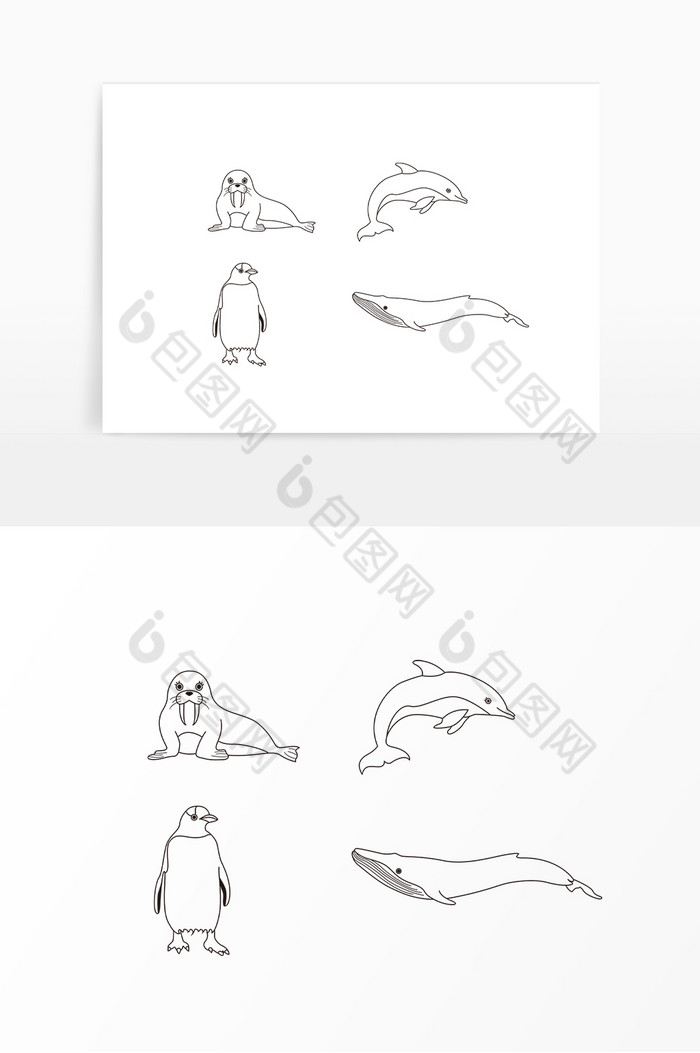 线描动物海狮海豚企鹅图片图片