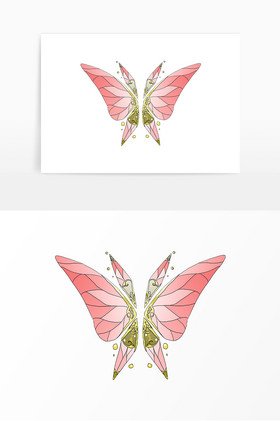 彩色昆虫蝴蝶翅膀图片