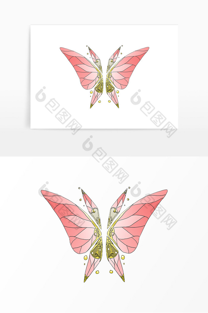 彩色昆虫蝴蝶翅膀图片图片
