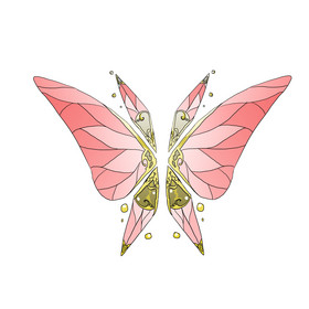 彩色昆虫蝴蝶翅膀