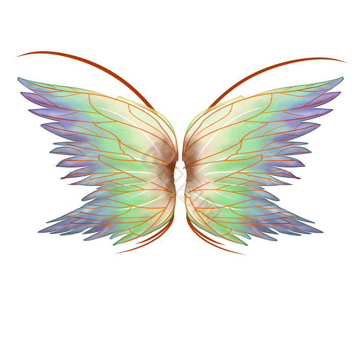 彩色羽毛翅膀图片