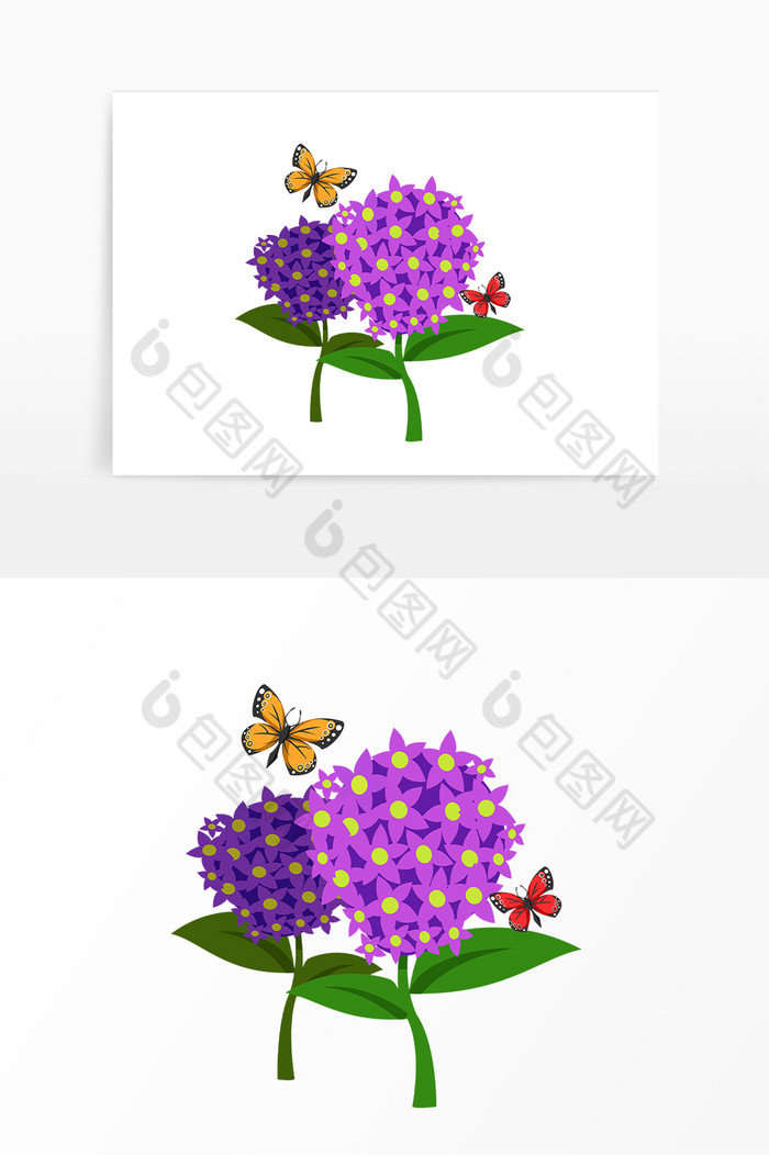 蓝花楹蝴蝶植物花朵图片图片