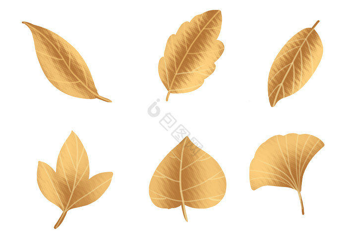 金色树叶叶子叶片图片