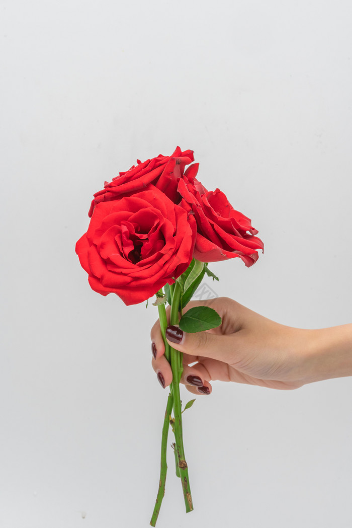 手拿红色玫瑰花送花摄影图图片