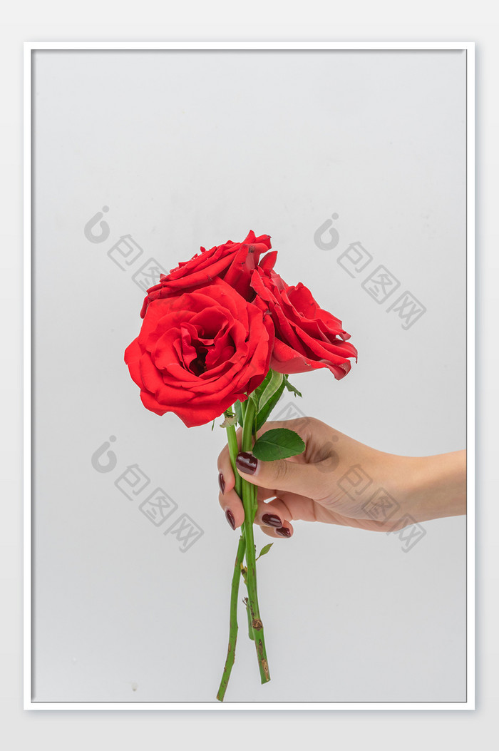 手拿红色玫瑰花送花摄影图