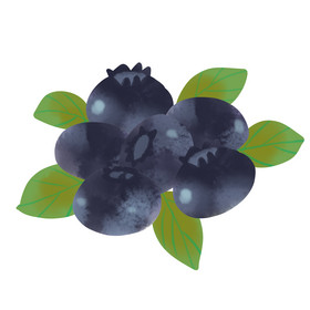 立夏夏季食物蓝莓