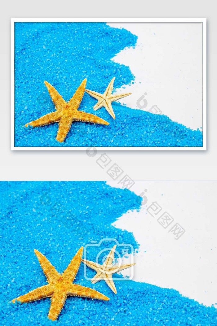 蓝色沙子上的海星摄影图