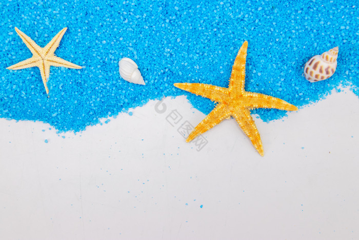 蓝色沙子上的海螺海星图片