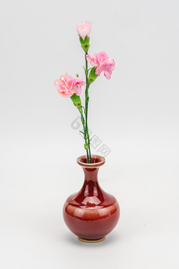 粉色花朵插花花瓶图片