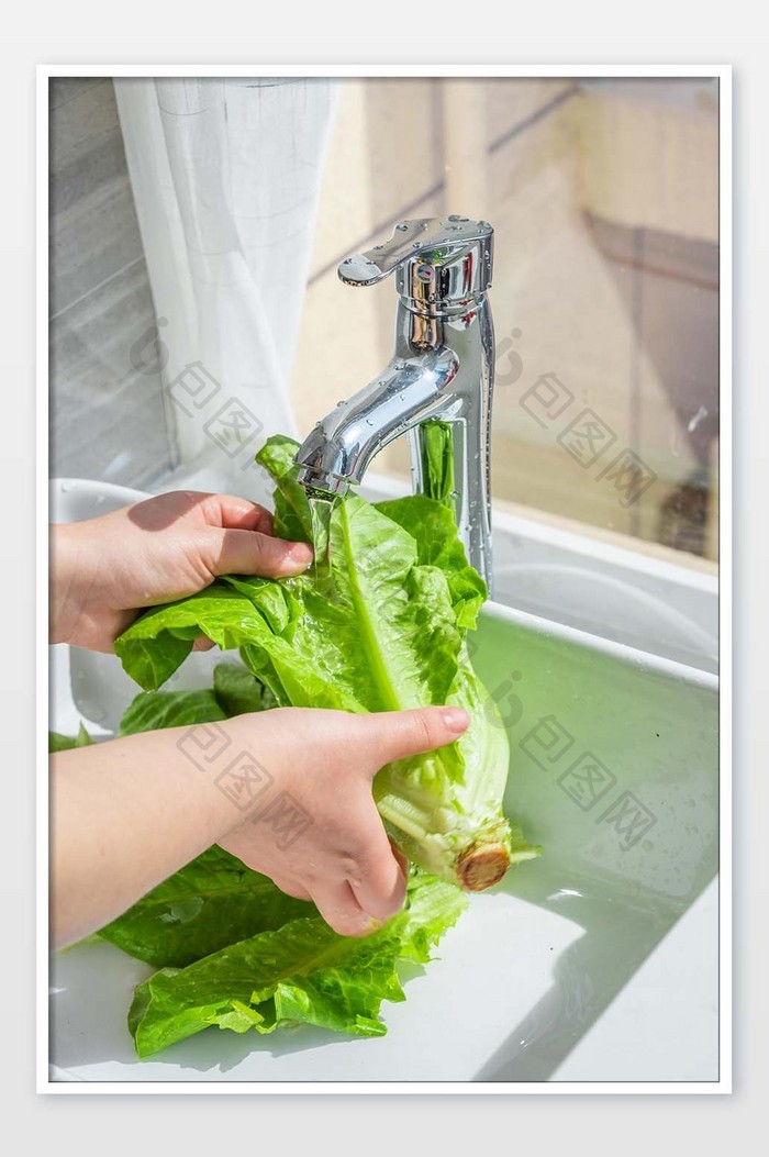 水洗蔬菜生菜摄影图