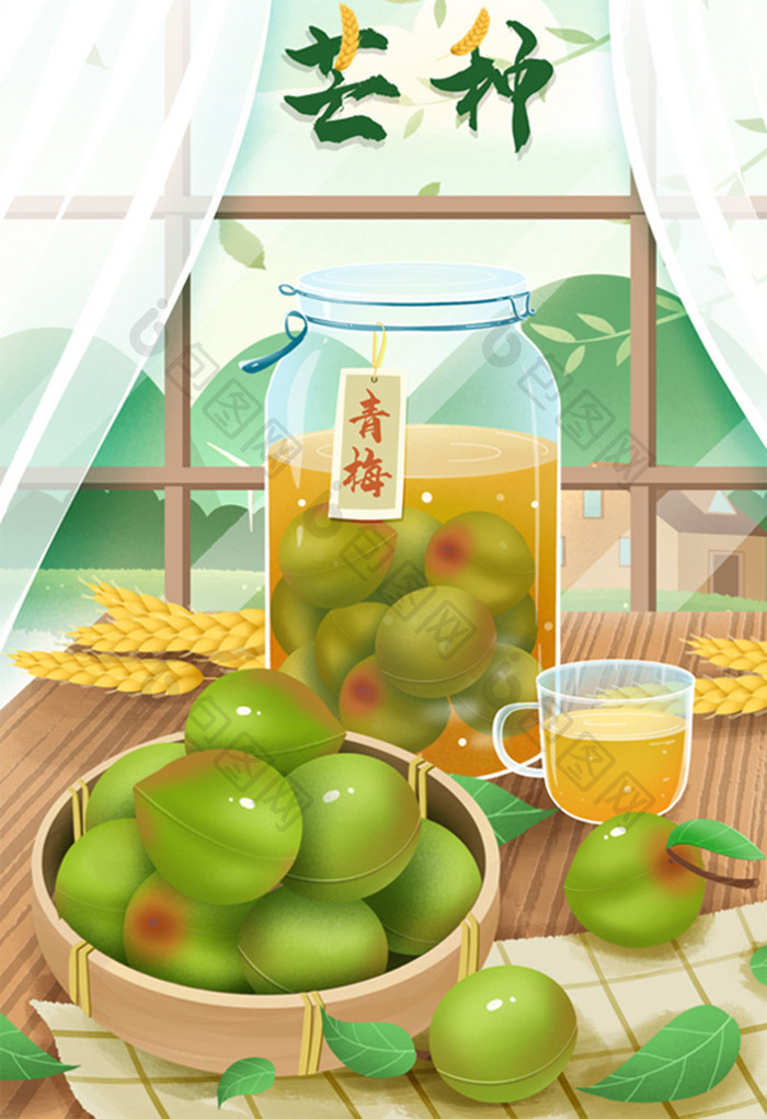 夏天芒种传统习俗做青梅酒插画