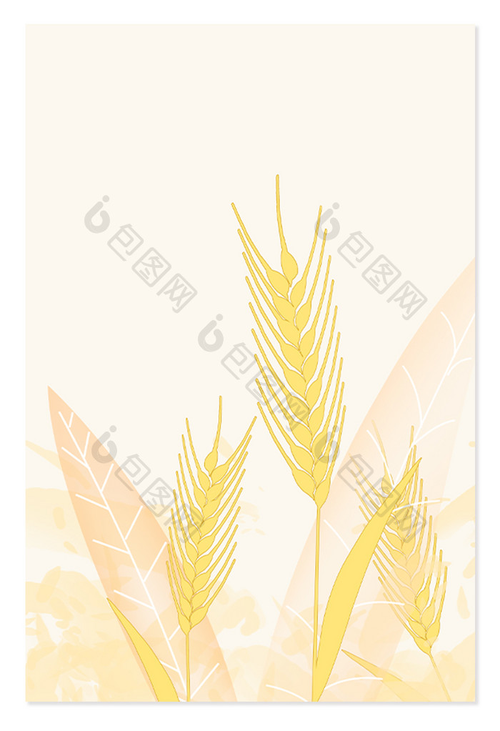 夏天夏季芒种小麦背景