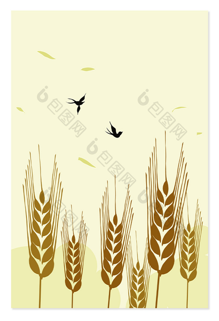 夏天夏季芒种麦穗背景