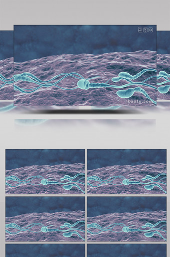 医学精子游动高清背景视频图片