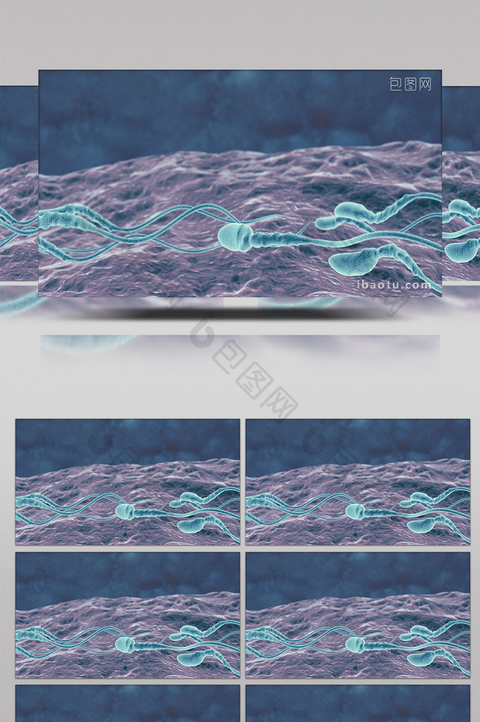 医学精子游动高清背景视频