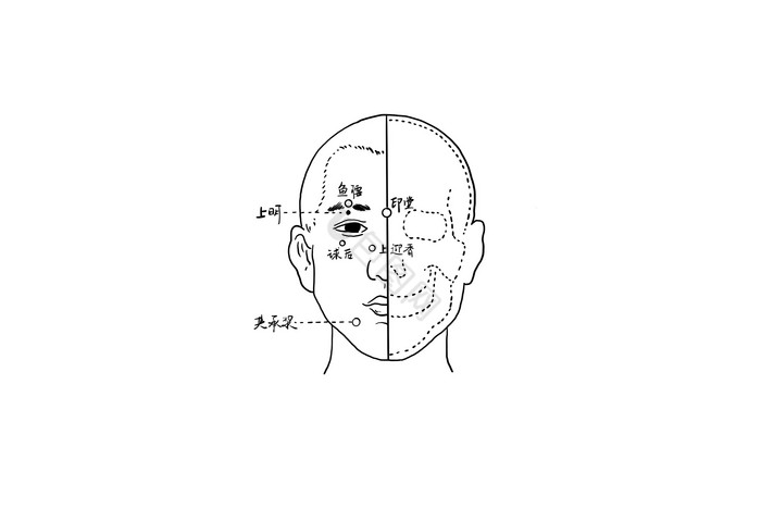 中医推拿穴位图图片