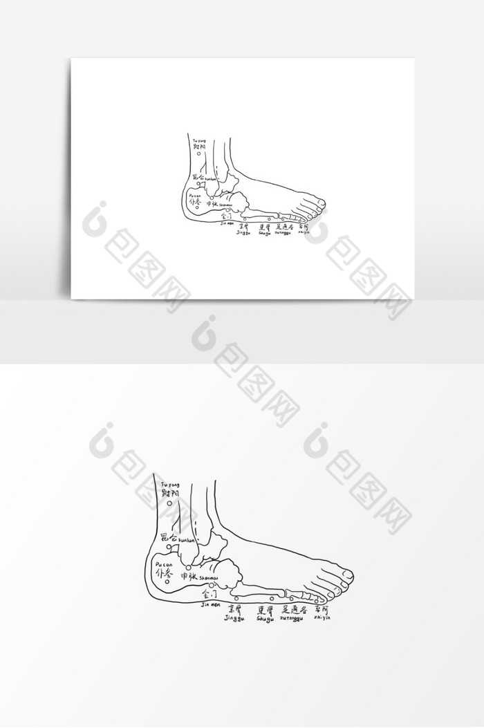 中医人体脚穴位图图片图片