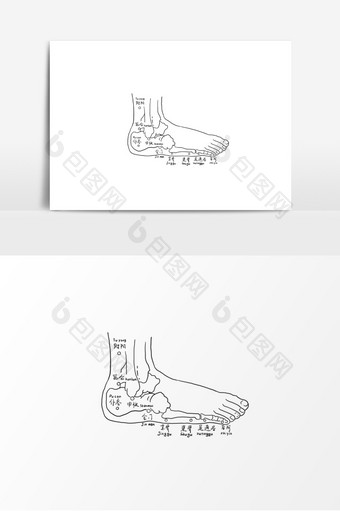 中医人体脚穴位图元素图片
