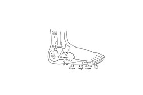 中医人体脚穴位图元素