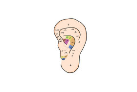 中医耳朵穴位图示