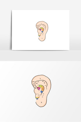 中医耳朵穴位图示