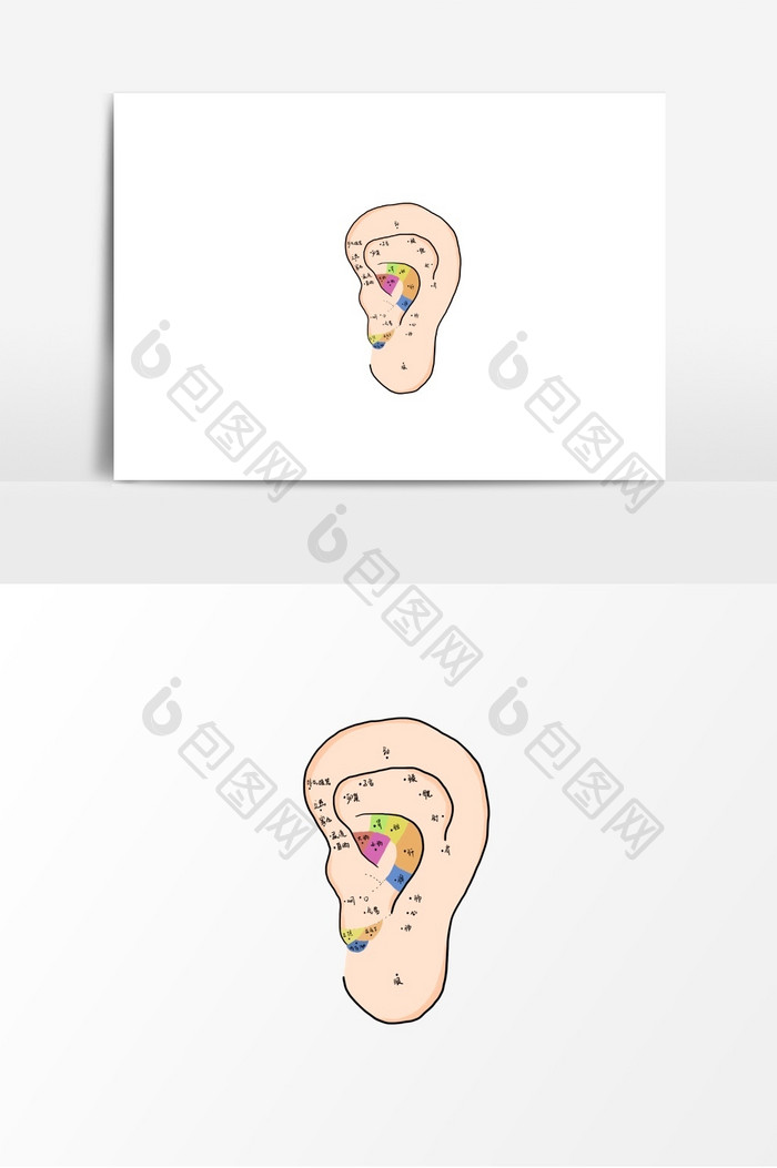 中医耳朵穴位图示元素