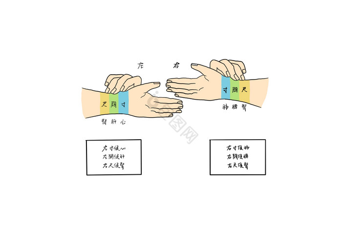 中医把脉穴位图示图片