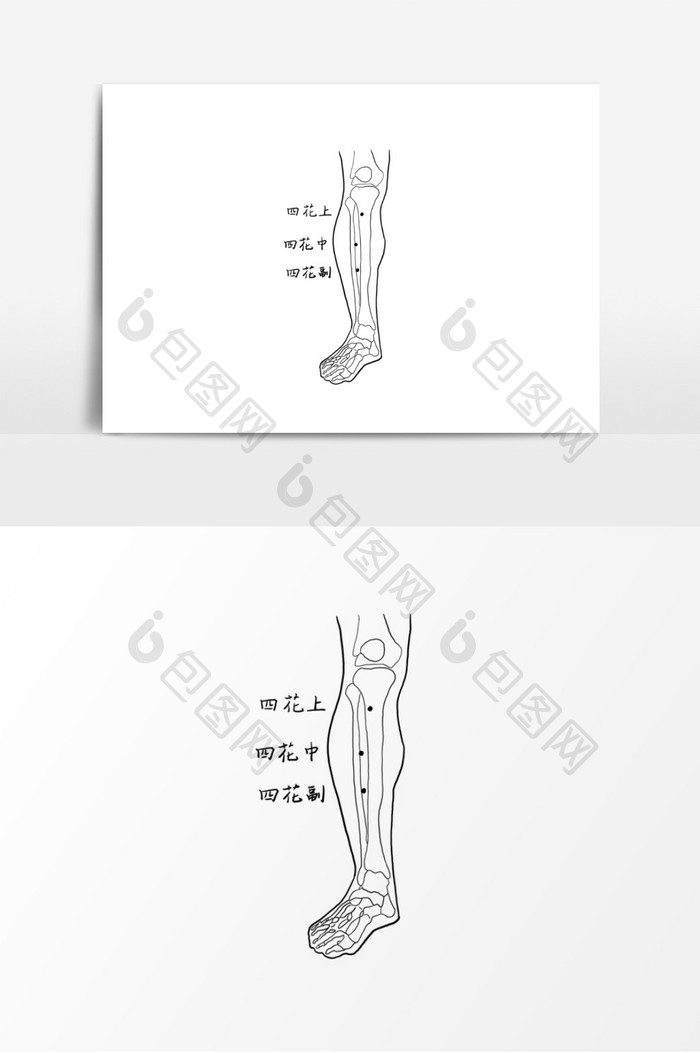 中医腿部穴位经络图元素