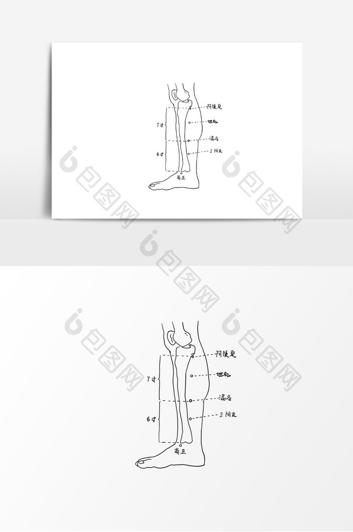 中医人体腿部穴位经络图元素