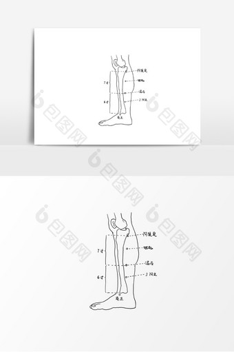 中医人体腿部穴位经络图元素图片