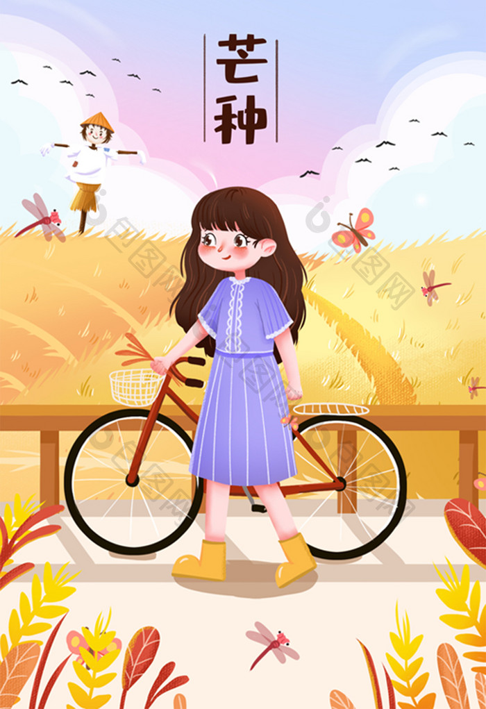芒种中国二十四节气麦田自行车夏天蜻蜓插画