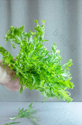 节气 小满节气美食 忆苦思甜 苦菜苦菊图片