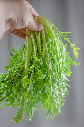 小满节气美食 忆苦思甜 苦菜苦菊图片