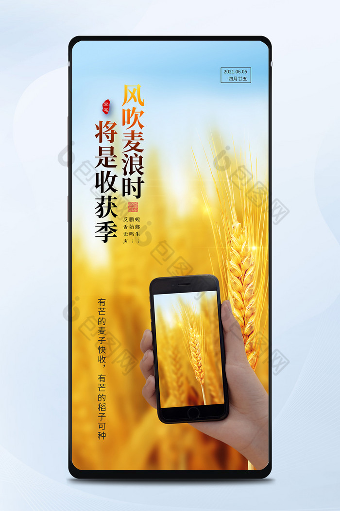 黄色简约传统节气芒种小麦成熟手机配图图片图片