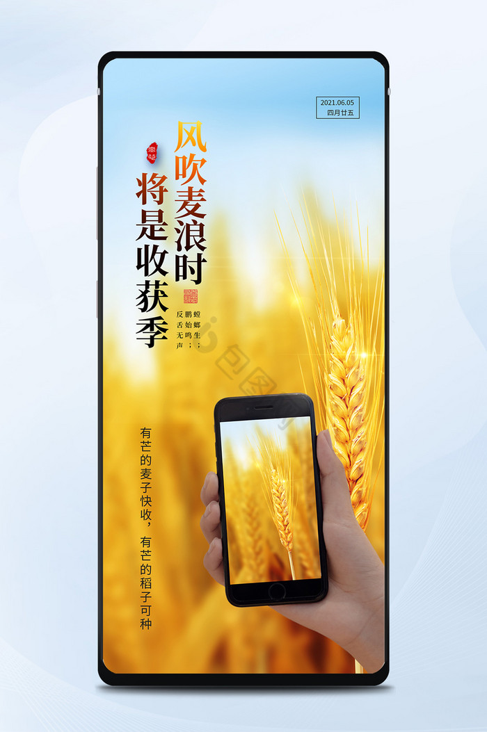 黄色简约传统节气芒种小麦成熟手机配图图片