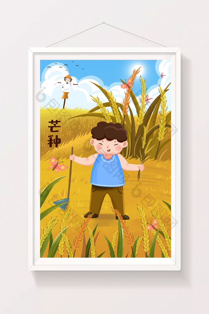 芒种夏天金色夏天田间丰收稻子植物插画图片图片