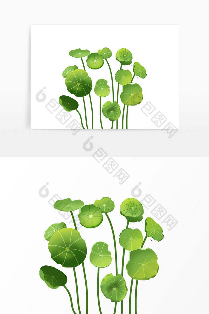 植物绿叶花草图片图片