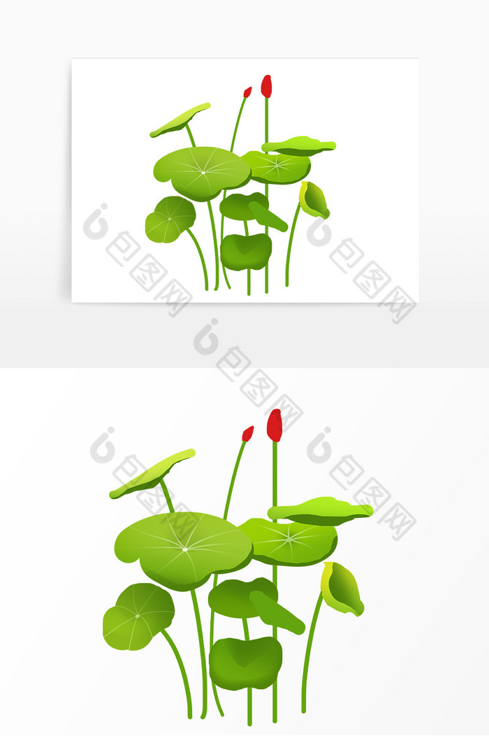 植物绿植花草图片图片