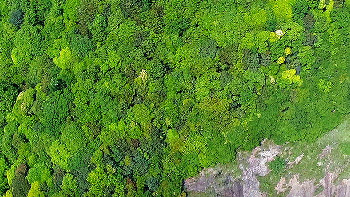 航拍金华浦江山林保护区