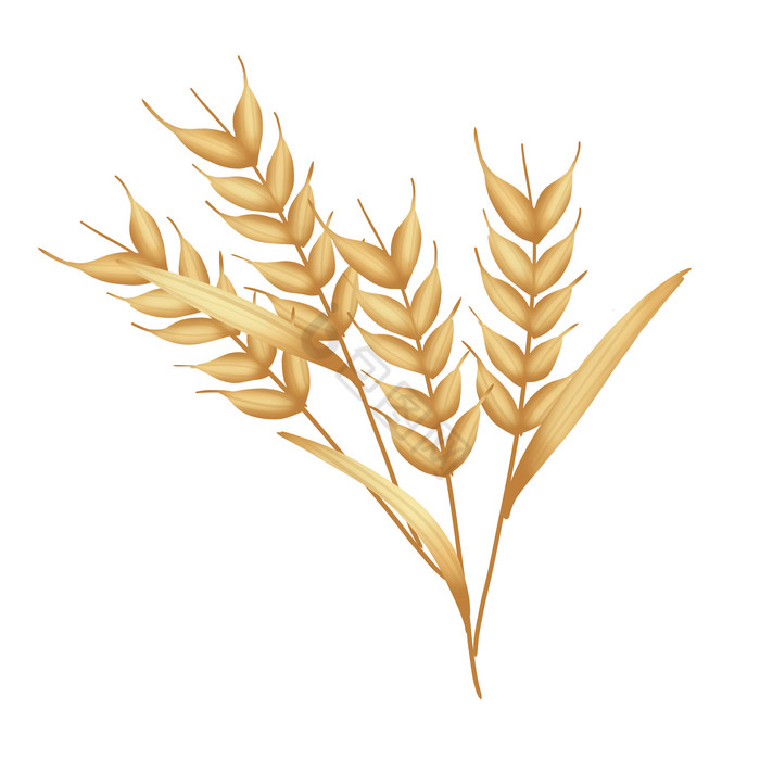 芒种丰收小麦麦穗图片